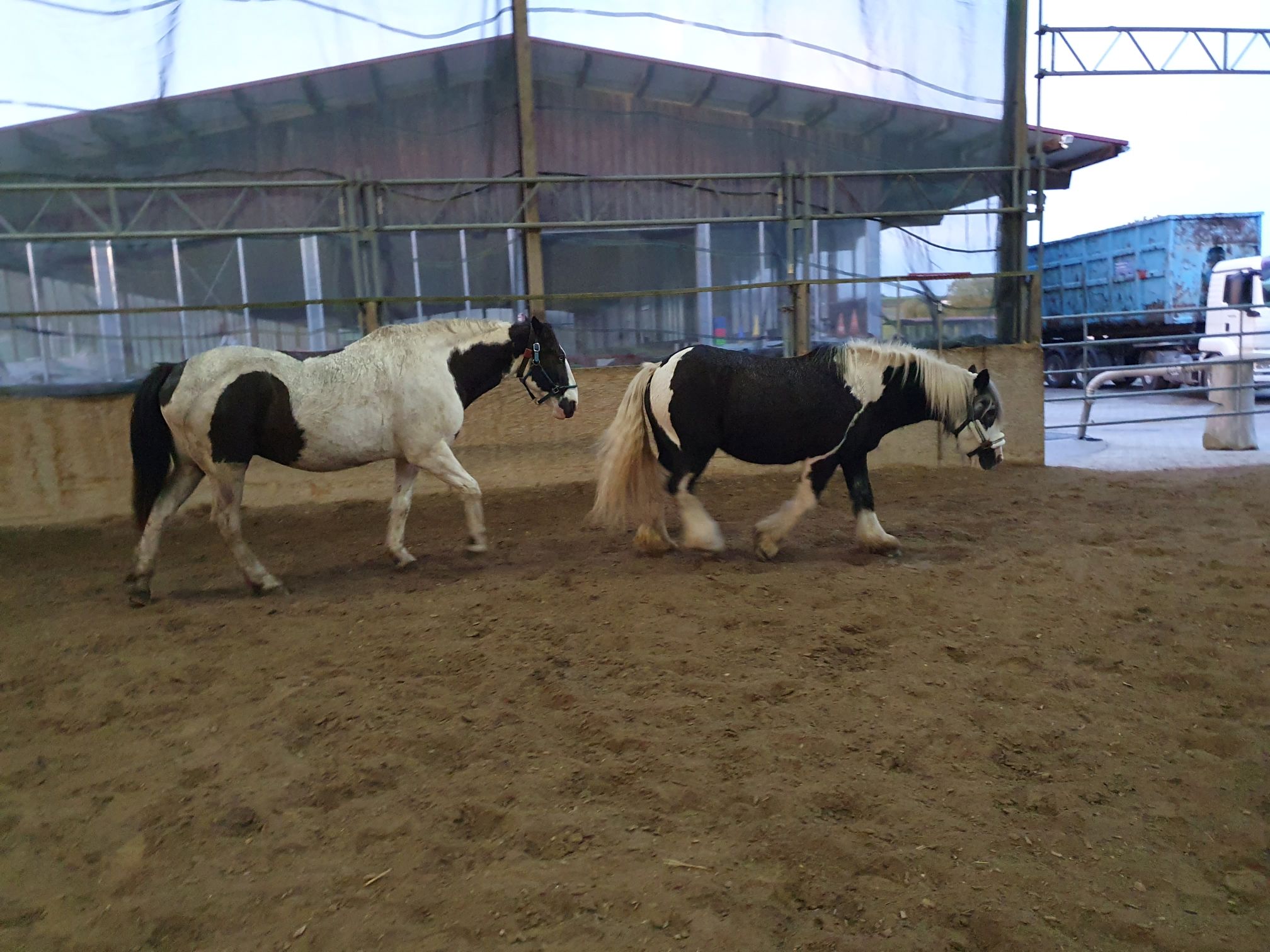 2023 11 November 570